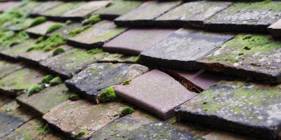 Tarring Neville roof repair costs